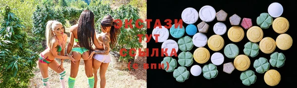 стаф Алзамай