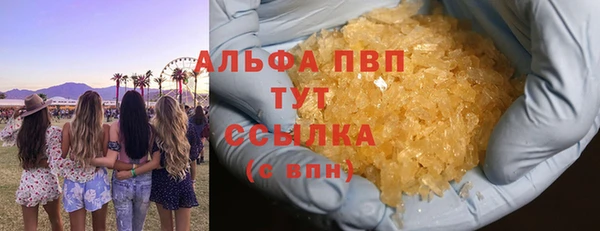 стаф Алзамай