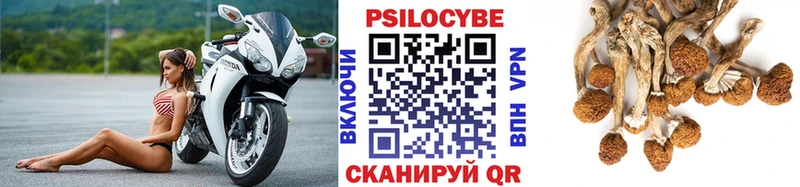 Галлюциногенные грибы ЛСД  где купить   ссылка на мегу как зайти  мориарти клад  Болгар 